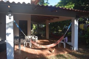 075EFD8A-D645-464B-BF71-38BD52A2A750_1_105_c Flea the pup