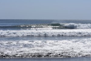 0D9209FF-91DD-4384-AFA8-2C6B8FD62DBB_1_105_c