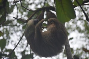 0E505033-BE8C-4DC7-BEC5-FB6C447744C9_1_105_c