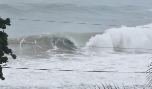 1D511860-4F76-4CCC-AE05-416FF13AE7A5_1_105_c