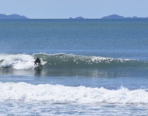 2DF1EC5F-B0E0-4DC9-A8D1-6AAF1EC1F8E8_1_105_c