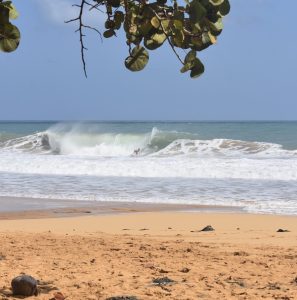 37C7BCB8-E281-4C3B-860E-85657CFA2985_1_105_c