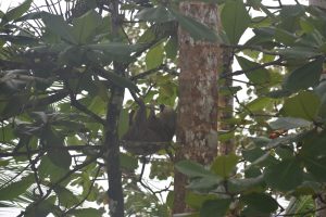 3A5F42FC-A7C6-4B16-83F0-DCF6D84C33A3_1_105_c