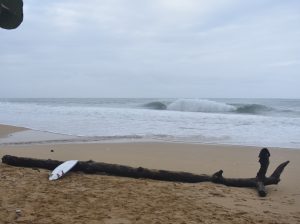 3F13B111-1AD9-4701-AF2B-404D54B2A2D8_1_105_c