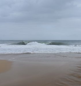 42CECB7C-987F-4706-8DB8-6075D3A80C76_1_105_c