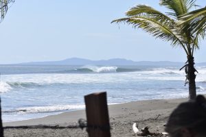 46FB2D41-988B-4014-B46A-B8DB2DE69FD2_1_105_c