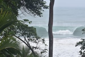 55F5BCEC-D32E-43A4-B19A-6020BC1DE832_1_105_c