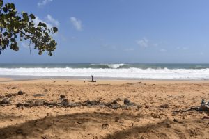 5A1F4BBE-8380-49A1-9553-71CA8CA21706_1_105_c