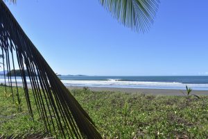 62FAB360-DC14-4612-83DD-810AC2A0BF3D_1_105_c