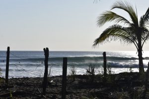 750C2930-EAAC-4F10-9A06-93FB1CF1BC02_1_105_c