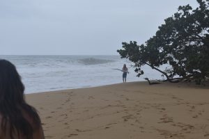 7A8680F1-6307-41FD-BACD-0A9CC1798B42_1_105_c