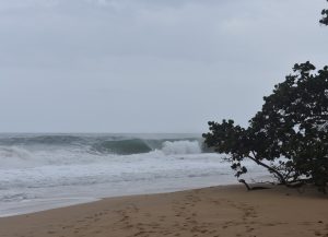 7F41C4B0-0B5B-4BB8-9F60-A1C04D0F24AC_1_105_c