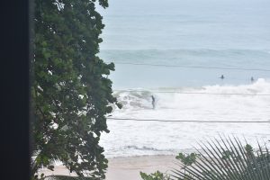 81933C8A-792A-4D92-A503-832ADCF1649C_1_105_c