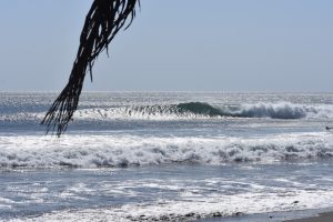 855C5A4C-1F15-4ED0-97E5-6D1DE5D32DDE_1_105_c