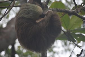 855E5411-9720-43CD-9952-6F1789A433FD_1_105_c