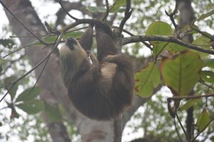 87FC3600-B3DB-4F0B-ABEC-9FAFE4CBAAE3_1_105_c