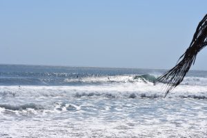 88F4B21E-C529-42A8-8A21-5D1BDA0D04AD_1_105_c