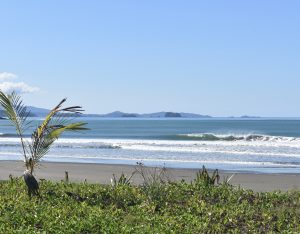 8F138399-4E03-4691-B8C6-6DDAD43CB8BA_1_201_a