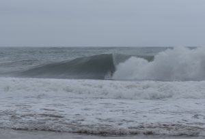 91E0619B-00BE-4942-9A4B-579B1FC84AD1_1_105_c