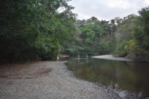 933D006E-A85E-483F-8B9C-7A1C4F059829_1_105_c