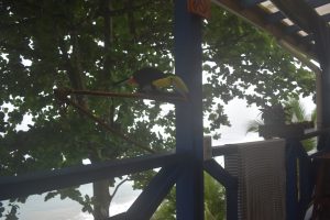 94A7CF73-B465-4447-9060-D8D749A51608_1_105_c