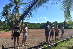 9D48E6DF-7677-450A-9AC4-7F9CECA5B6B7_1_105_c