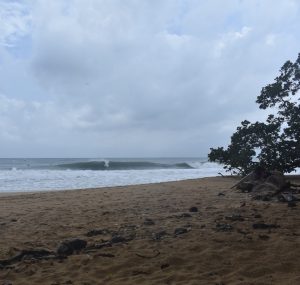 B20ED2A9-CDB3-4A9C-8712-F3354C36BDC6_1_105_c