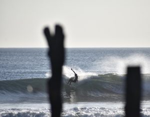 B26EE9D5-B85C-4213-B768-85DF203973E7_1_105_c