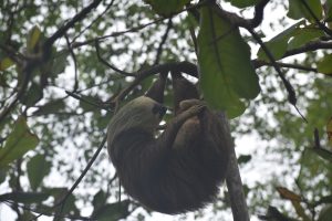 BA518540-920C-4CAC-857C-B3570351D076_1_105_c