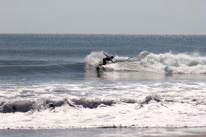 D50C2E43-897A-4ACF-87B4-386C4E3864A2_1_105_c