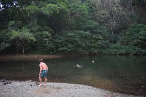 D566F85A-D325-4611-9EC0-A8B22C4393CC_1_105_c