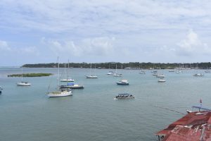 DB814CF6-95D4-4BDD-8FCE-FC4A28573095_1_105_c