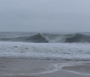 E65677F9-4DF8-4D23-8511-0932777CEE8F_1_105_c