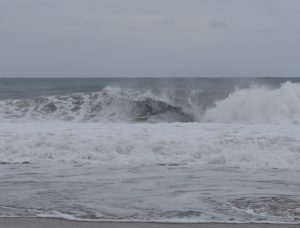 F1ED1B4A-E43F-4820-8ED9-0B9444987A32_1_105_c