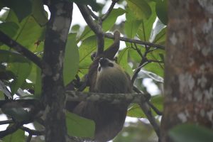 FC87B7EE-AC17-46D2-8D44-CF1F4C10C890_1_105_c