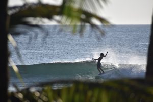 FDA86ED0-2FBC-4E17-BC75-8337BBBB9AF5_1_105_c