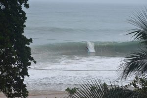 FEA88881-D4C4-46FB-BBA1-44A848619C12_1_105_c