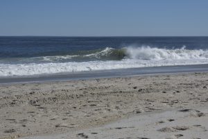 0749C64C-3F58-4A3F-B80E-9A7334610B88_1_201_a