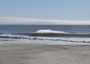 10015EF1-CFE8-43E9-83D9-702F5194DF76_1_201_a