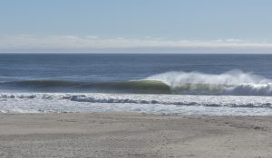 33C6D709-429D-4968-9F91-ABB86BA90251_1_201_a