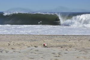 368CEEC2-99FD-4B3A-AF82-E89F52EE4A2B_1_201_a