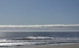 44D7651F-D160-4077-93F3-CF25599DAAAD_1_201_a