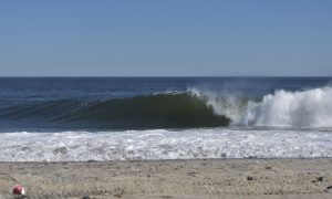 5005875A-6A27-418A-A32E-A7C42948F681_1_105_c