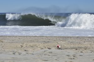 5337150C-9279-4971-A874-1AC2D0E0D374_1_201_a