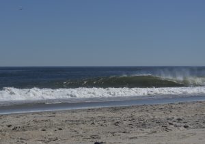 546B787A-8261-4FCF-A3E8-63313CE3FAE8_1_201_a