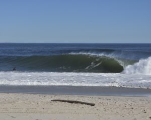 646B571C-1715-4942-95E2-5A96A3C77494_1_105_c