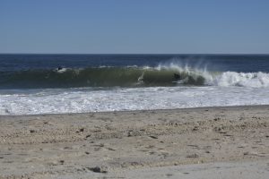 693C0ED5-5B66-450F-B980-54089B600680_1_201_a