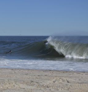 78B67C53-7B06-4D45-81E1-EE98F01491B8_1_105_c