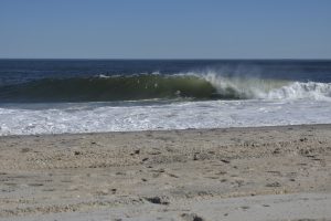 7B5C567D-E3E0-47F1-87FA-3B37B473B799_1_201_a