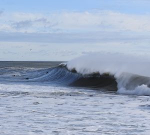 7D6A90AB-CCD9-414D-BFF3-F8A9197512F0_1_201_a